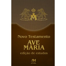 Novo testamento - edição de estudo