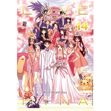 Love Hina - Especial - Vol. 14