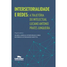 Intersetorialidade e redes