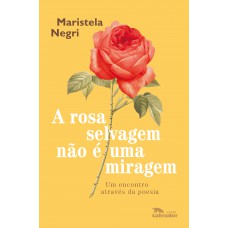 A rosa selvagem não é uma miragem