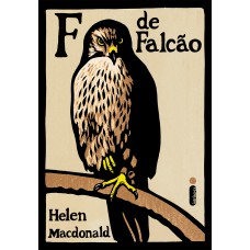 F de falcão