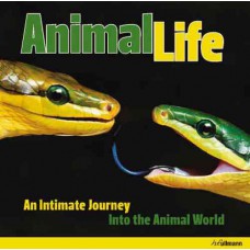 Animal Life