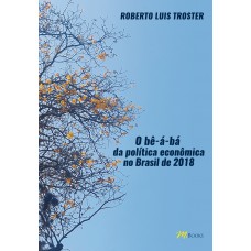 O bê-á-bá da política econômica no Brasil de 2018