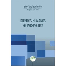 Direitos humanos em perspectiva