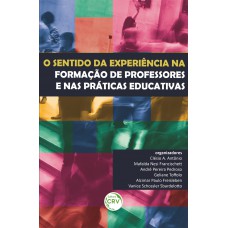 O sentido da experiência na formação de professores e nas práticas educativas