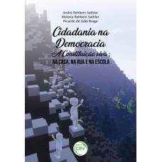 Cidadania na democracia a constituição viva