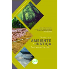 Direito ao ambiente e justiça socioambiental