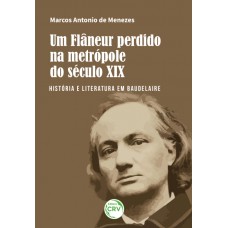 Um flâneur perdido na metrópole do século xix: