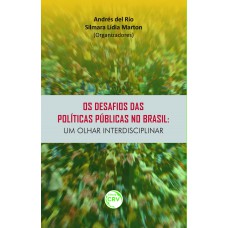 Os desafios das políticas públicas no brasil