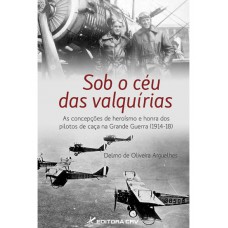 Sob o céu das valquírias as concepções de heroísmo e honra dos pilotos de caça na grande guerra (1914-18)