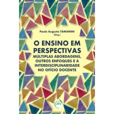 O ensino em perspectivas