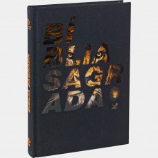 Bíblia Sagrada - Capa ilustrada Leão e preto