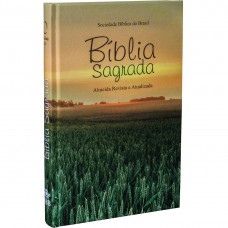 Bíblia Sagrada - Capa ilustrada Campo