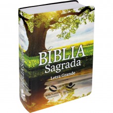 Bíblia Sagrada Letra Grande com índice - Capa Reflexo