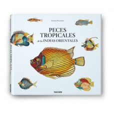 Peixes tropicais das indias Peixes tropicais das indias