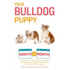 Your Bulldog Puppy Month by Month