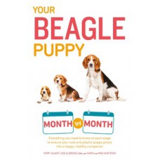 Your Beagle Puppy Month by Month