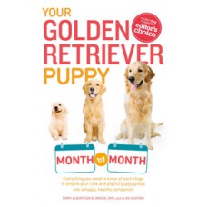 Your Golden Retriever Puppy Month by Month