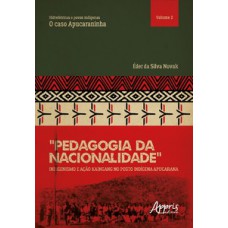 “Pedagogia da nacionalidade”: indigenismo e ação Kaingang no posto indígena Apucarana