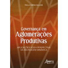 Governança em aglomerações produtivas: aplicações sob a perspectiva da abordagem dinâmica