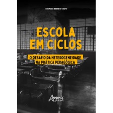 Escola em ciclos: o desafio da heterogeneidade na prática pedagógica