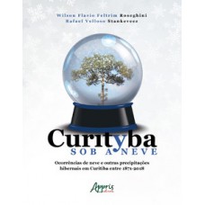 Curityba sob a neve: ocorrências de neve e outras precipitações hibernais em curitiba entre 1871 – 2018