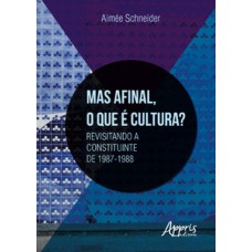 Mas afinal, o que é cultura? revisitando a constituinte de 1987-1988