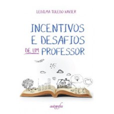 Incentivos e desafios de um professor