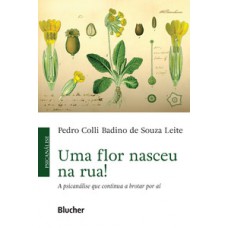 Uma flor nasceu na rua!