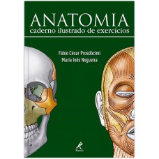 Anatomia