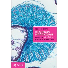 Pequenas maravilhas Pequenas maravilhas