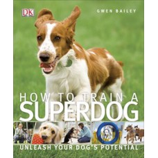 How To Train A Superdog