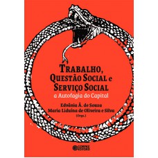 Trabalho, Questão Social e Serviço Social: