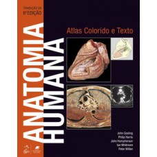 Anatomia humana