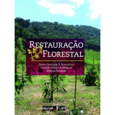 Restauração florestal