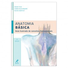 Anatomia básica