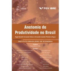 Anatomia da produtividade no Brasil