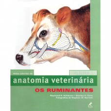 Anatomia veterinária