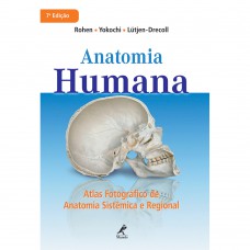 Anatomia humana