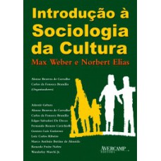 Introdução à sociologia da cultura