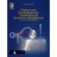 Tópicos em termodinâmica estatística e processos dissipativos