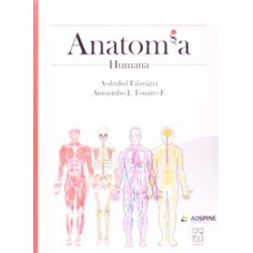 Anatomia humana