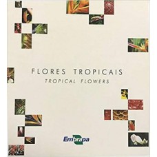 Flores tropicais Flores tropicais