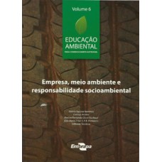 Empresa, meio ambiente e responsabilidade socioambienal