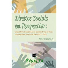 Direitos sociais em perspectiva