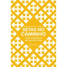 Setas no caminho Setas no caminho