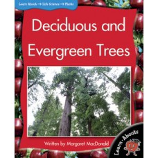 Deciduous and evergreen trees