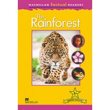 The Rainforest