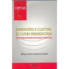 Dimensões e clusters de cultura organizacional de uma empresa com atuação internacional