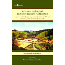 De terras indígenas à princesa da Serra Fluminense